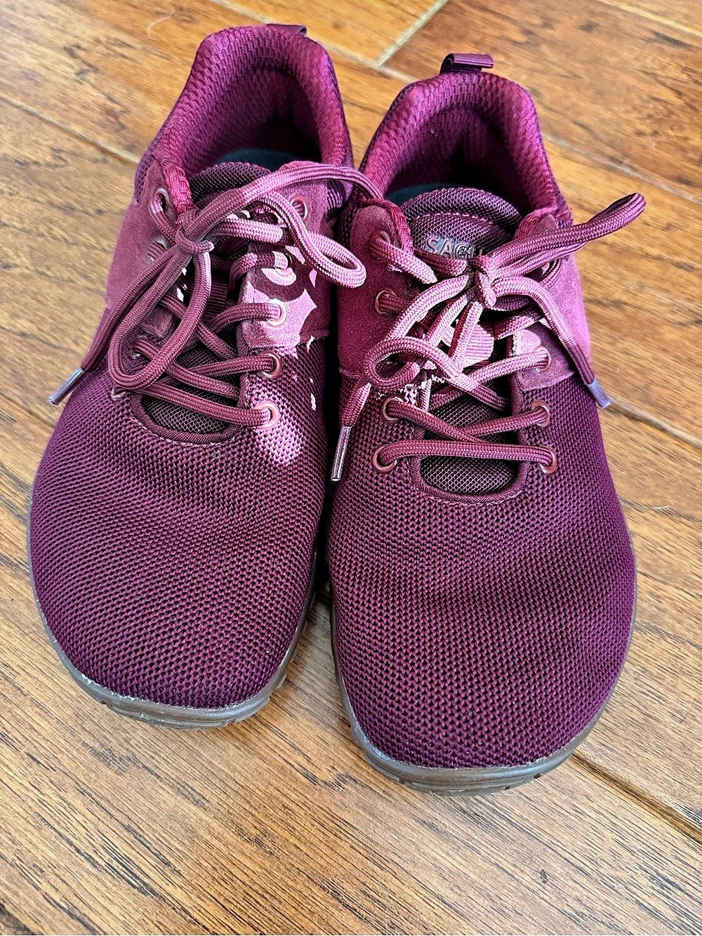 Saguaro Minimalist Barefoot Sneaker Women's Magenta EU 39